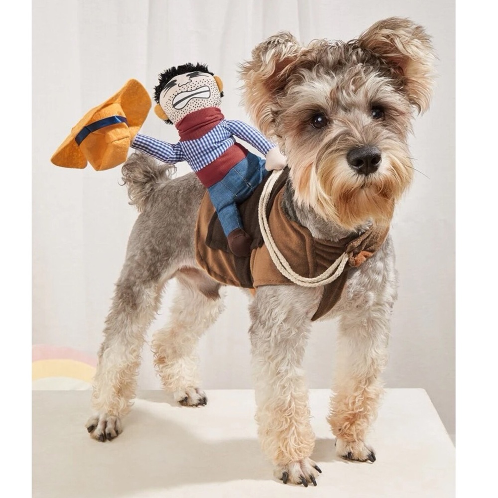 Cowboy Pet Costume 🐕